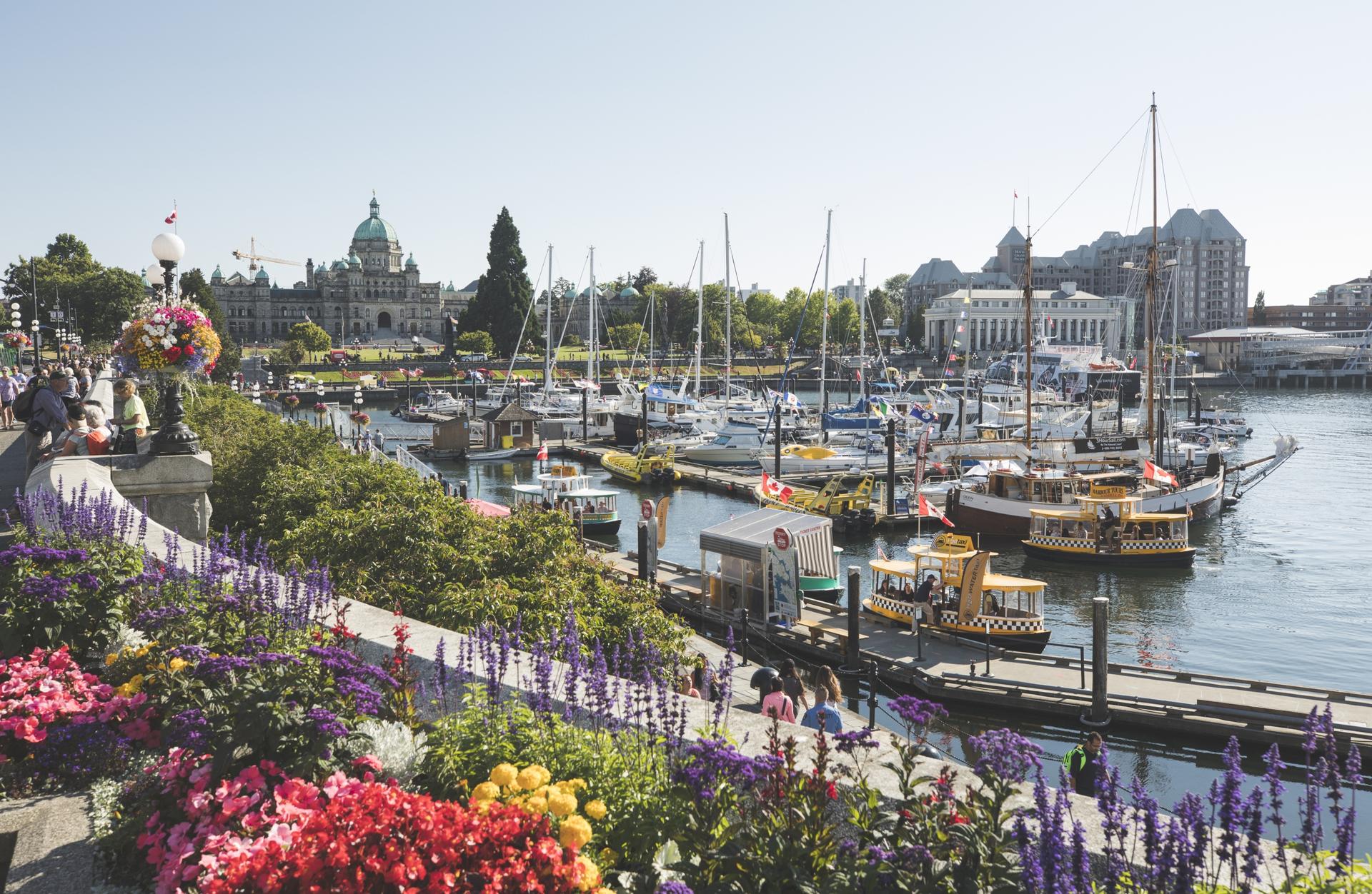 A marina in Victoria's Inner Harbour during spring, with flowers in bloom in the foreground and the BC Parliament Buildings in the background in Victoria, BC